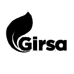Logo Grupo Industrial en Reciclaje - Negro